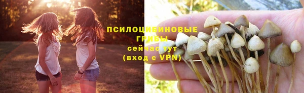 гашик Алзамай