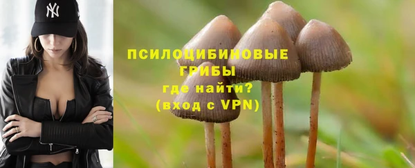 гашик Алзамай