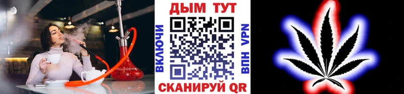 Конопля гибрид  Полтавская 